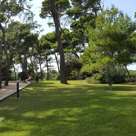 Suha Punta - Babalonija *