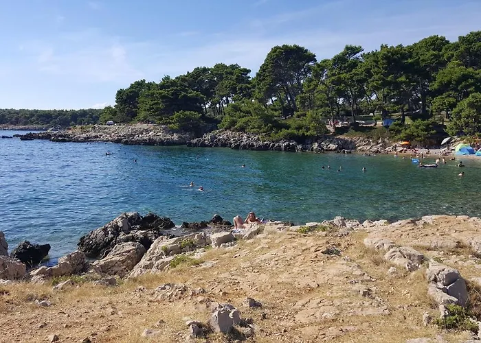 Suha Punta - Babalonija *