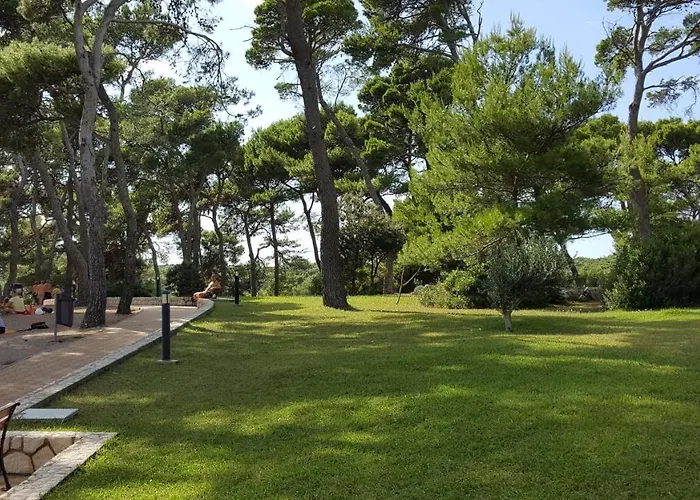 Suha Punta - Babalonija *