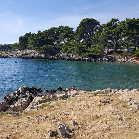 Suha Punta - Babalonija *